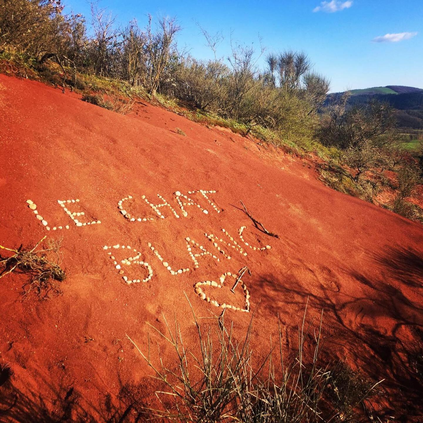 Le Chat Blanc Versols-et-Lapeyre 外观 照片